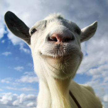 Goat Simulator